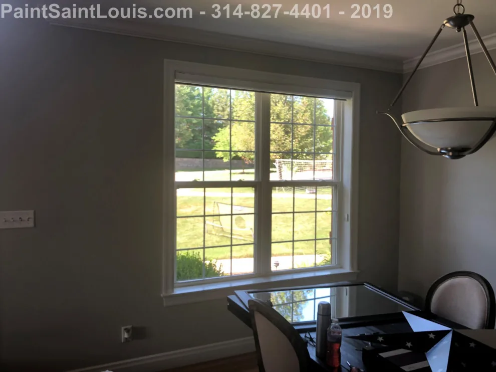 Des Peres - Summer 2019 Season by Paint Saint Louis, LLC - Photo 14