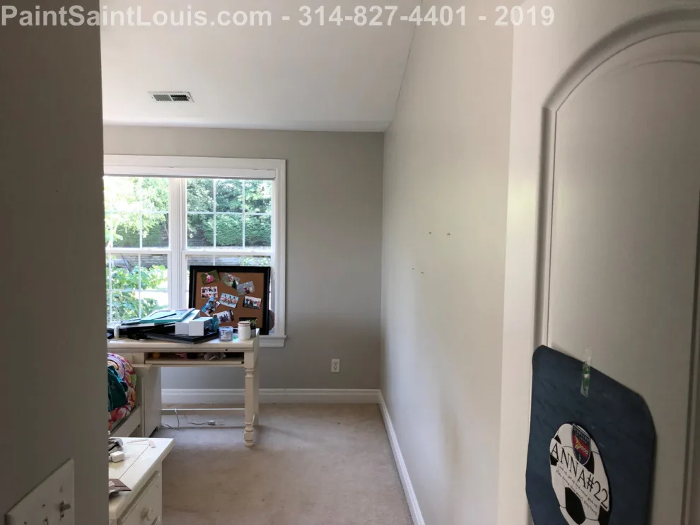 Des Peres - Summer 2019 Season by Paint Saint Louis, LLC - Photo 13
