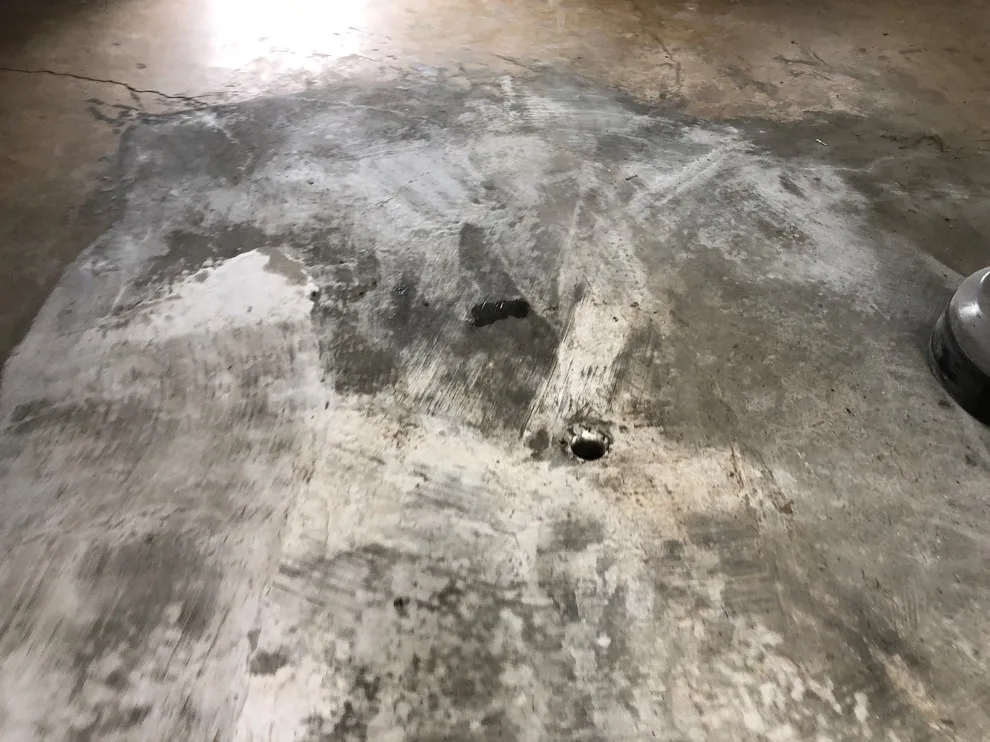 Dolphin Crystal by Coal Creek Coatings - Photo 2