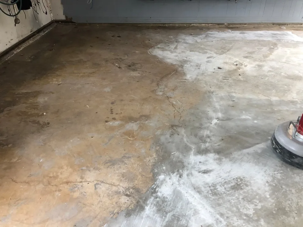 Dolphin Crystal by Coal Creek Coatings - Photo 4