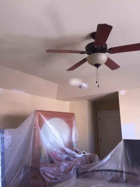 Doreen's Paint Renovation for Builders by Speed Pro Painting - Photo 3