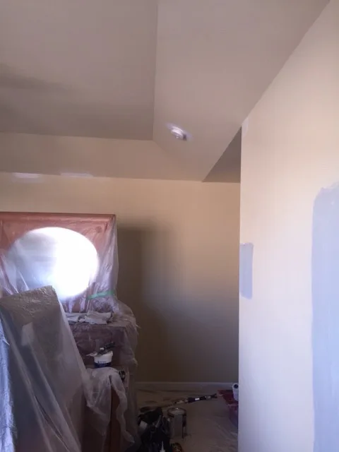 Doreen's Paint Renovation for Builders by Speed Pro Painting - Photo 6