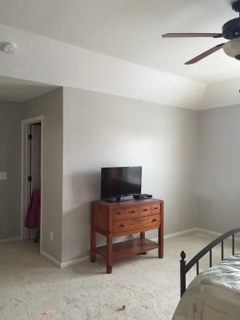 Doreen's Paint Renovation for Builders by Speed Pro Painting - Photo 13