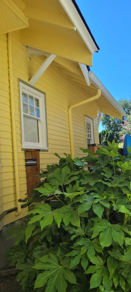 1913 Bungalow in Downtown by Gaxiola's Painting LLC - Photo 8
