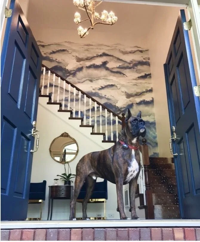 1st Choice Custom Painting,llc - Photo 7