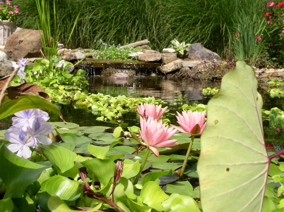 Water Features and Ponds by Good Earth Water Gardens - Photo 17