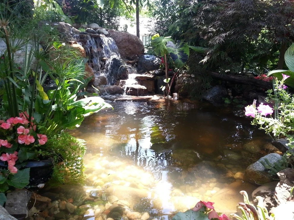 Good Earth Water Gardens - Photo 13
