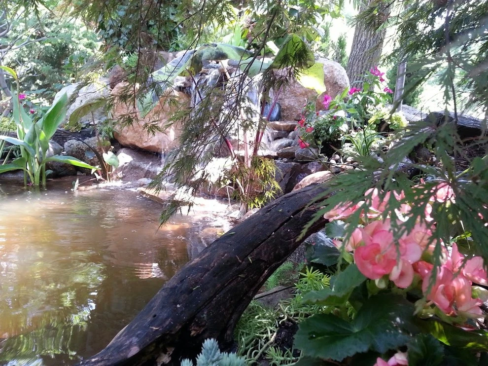 Water Features and Ponds by Good Earth Water Gardens - Photo 2