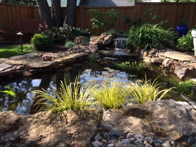 Water Features and Ponds by Good Earth Water Gardens - Photo 9