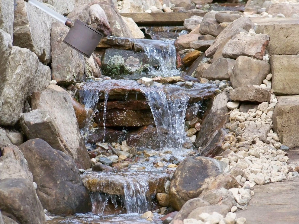 Good Earth Water Gardens - Photo 6