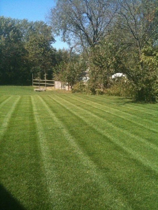 Good Green Lawn & Landscaping - Photo 12