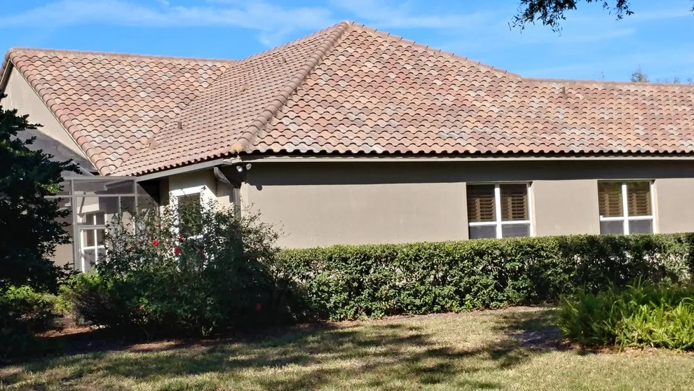 Phoenix Painting & Maintenance - Photo 6