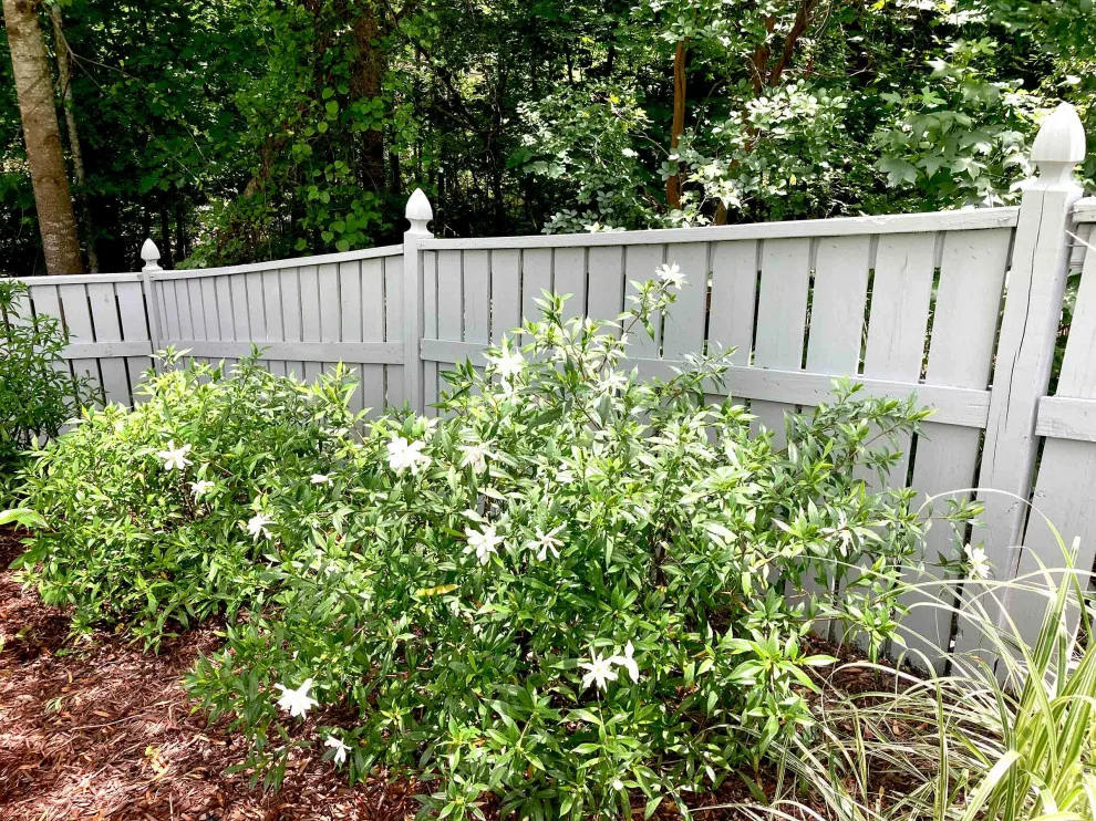 Raleigh Paint & Improvement - Photo 8