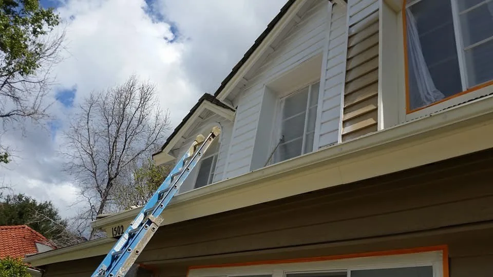 Comprehensive Exterior Painting by Martn Carabajal Painting - Photo 61