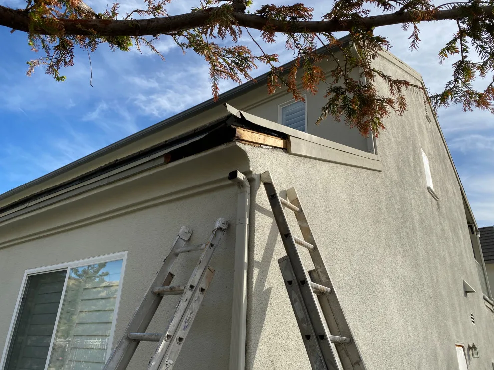 Comprehensive Exterior Painting by Martn Carabajal Painting - Photo 99