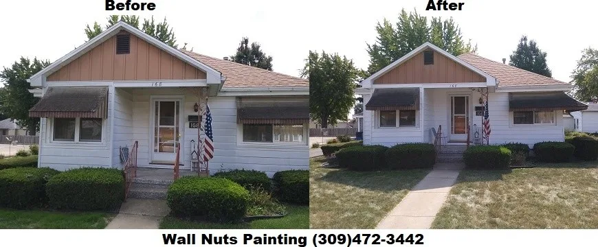 Wall Nuts Painting - Photo 4