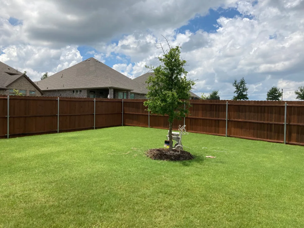 Boundary and Outdoor Enhancements by Blue Dog Pro Painters - Photo 3