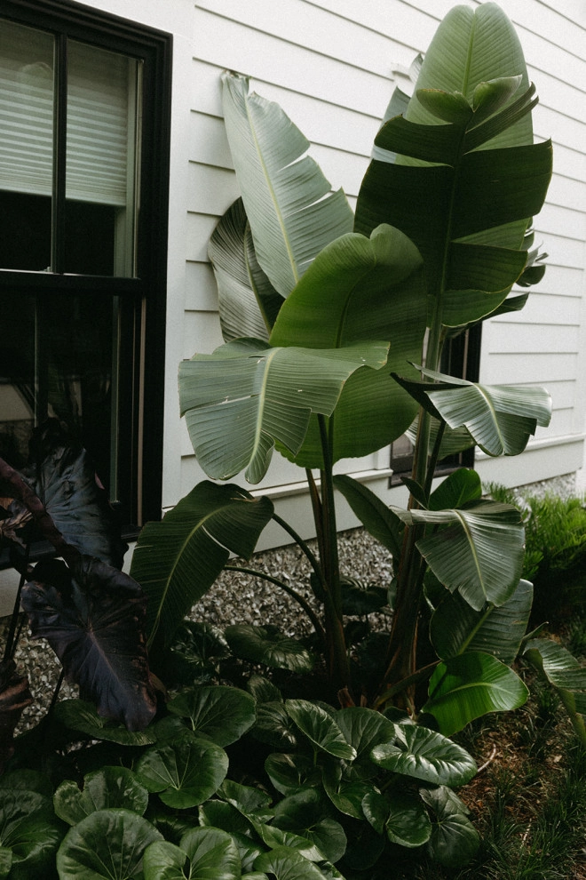 C&P Outdoor Design - Photo 6