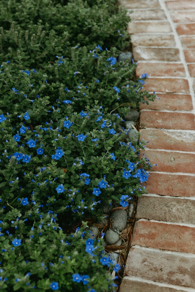 Palm Garden by C&P Outdoor Design - Photo 6