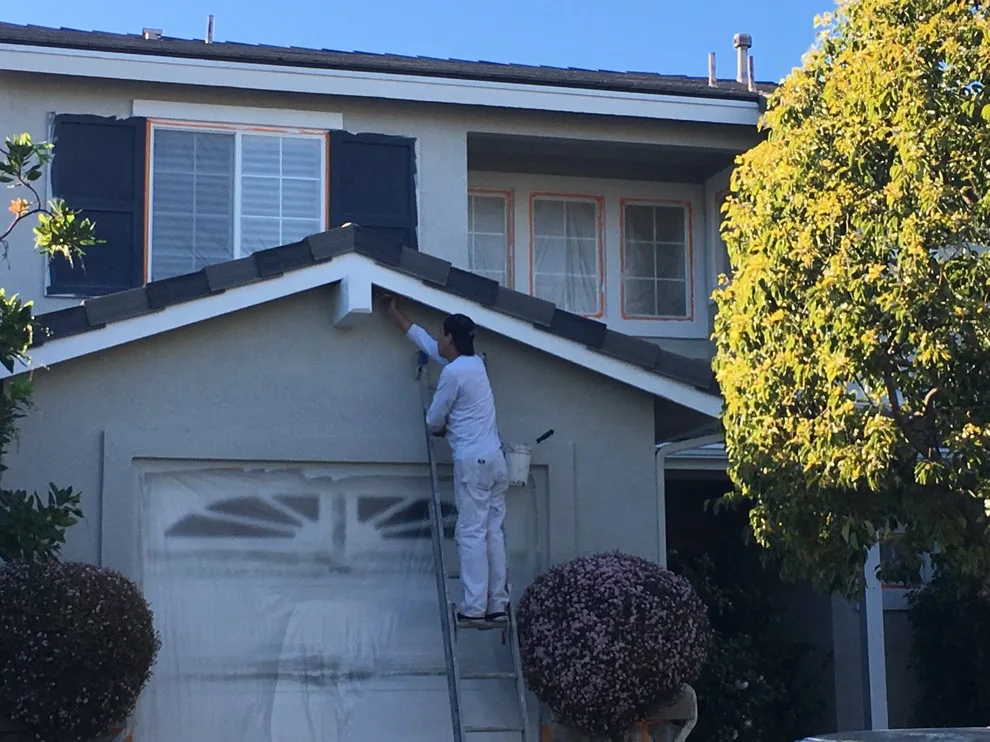 Complete Exterior Painting by Martn Carabajal Painting - Photo 11