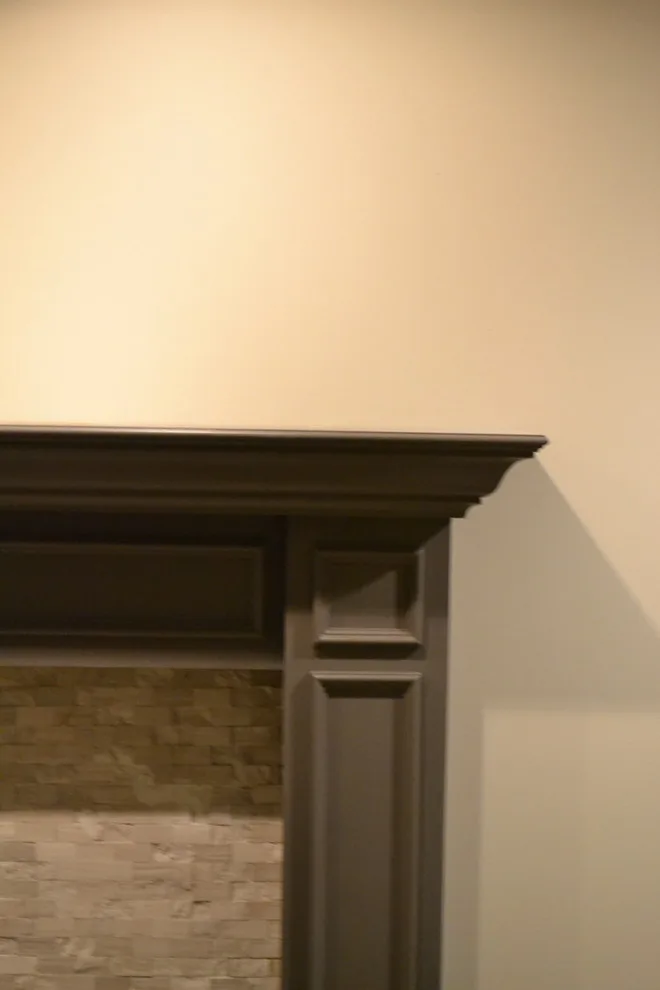 Brave Fox Major Basement Renovation by Bristle Painting Company - Photo 5
