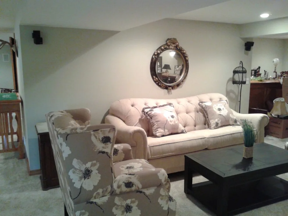 Brave Fox Major Basement Renovation by Bristle Painting Company - Photo 31