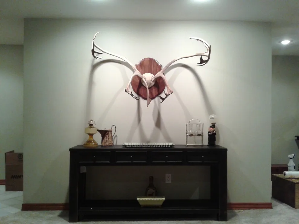 Brave Fox Major Basement Renovation by Bristle Painting Company - Photo 19