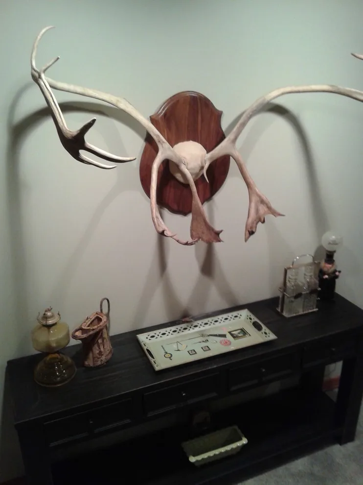 Brave Fox Major Basement Renovation by Bristle Painting Company - Photo 22