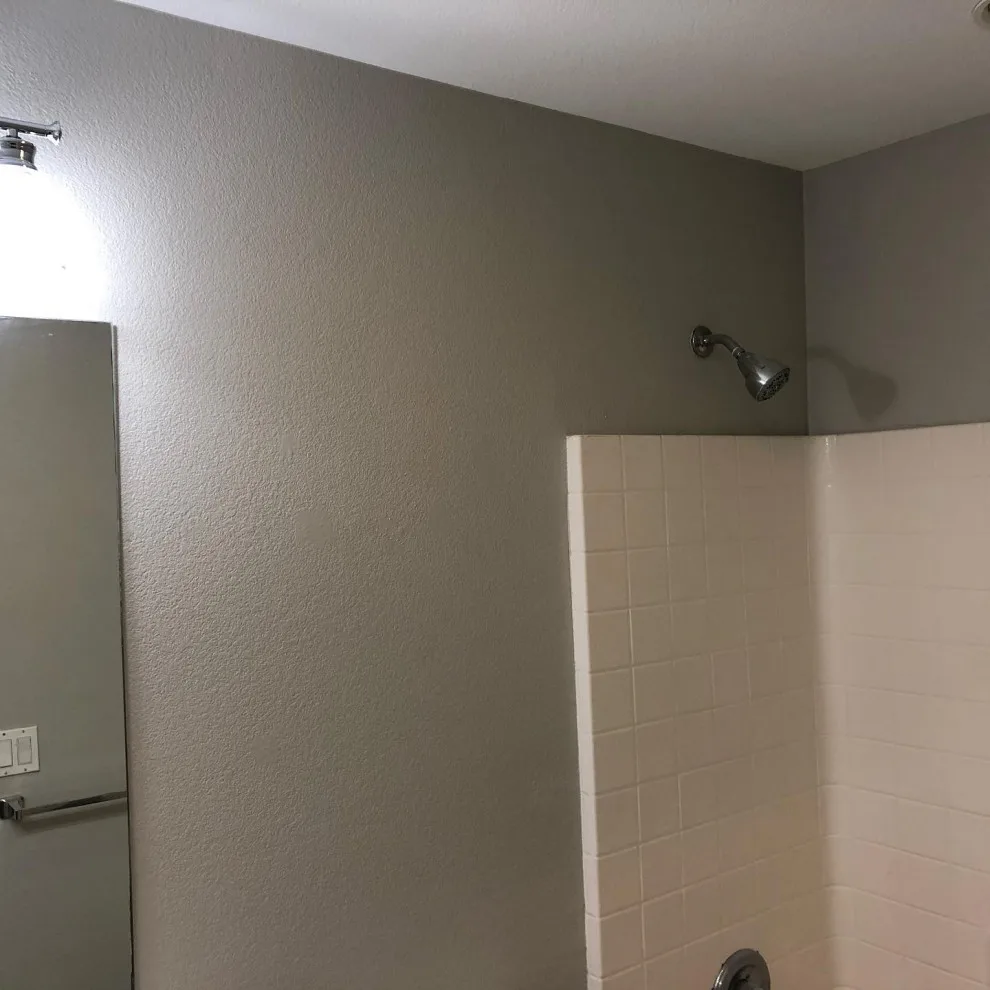 Bathroom Painting Transformation by Gama Quality Painting Inc. - Photo 2