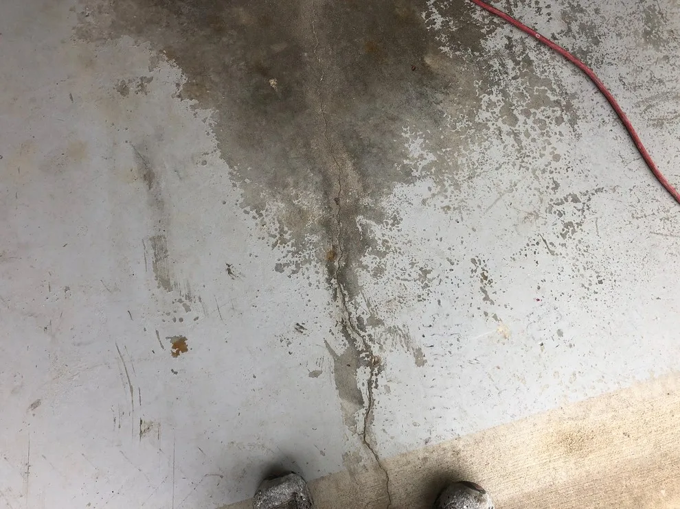 Graphite Chip by Coal Creek Coatings - Photo 12