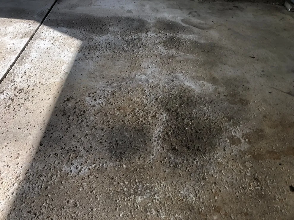 Ashen Chip by Coal Creek Coatings - Photo 2