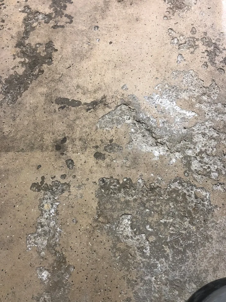 Multigem Grey Flake 2 by Coal Creek Coatings - Photo 16