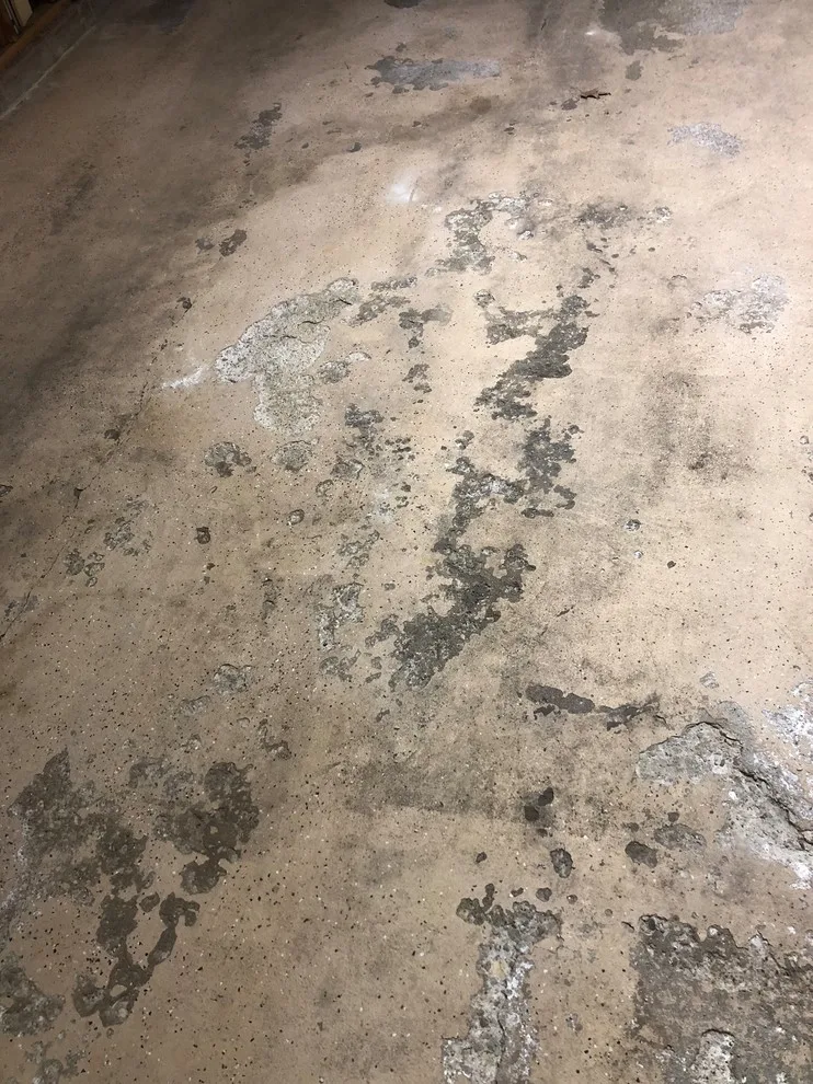 Multigem Grey Flake 2 by Coal Creek Coatings - Photo 6