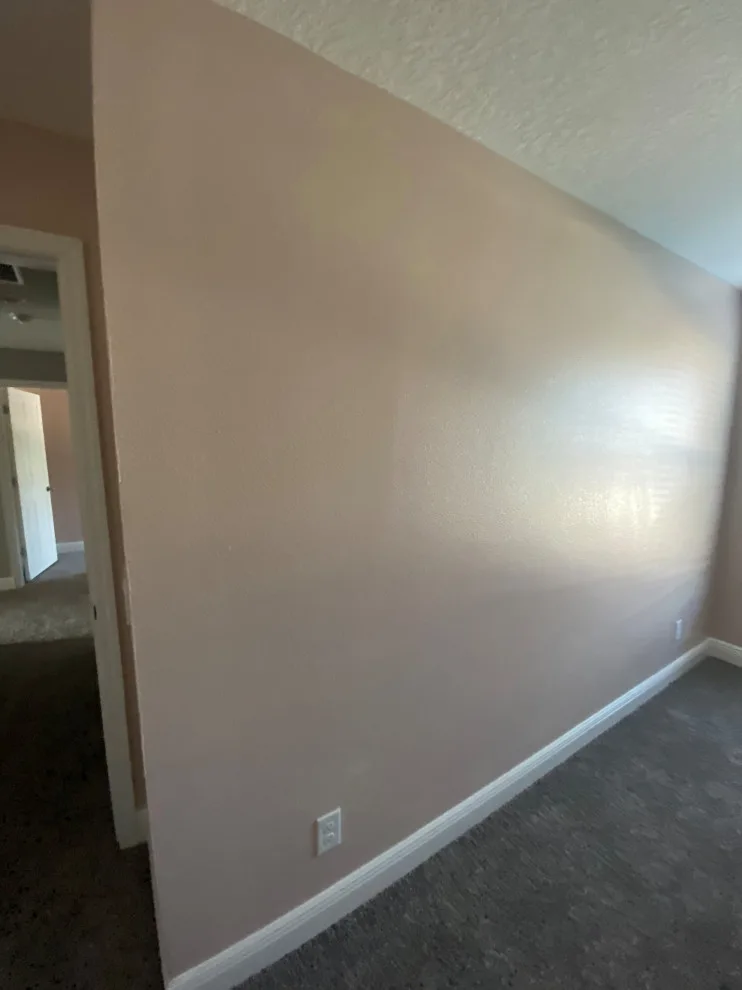Groveland Interior Painting Initiative by A+ Painting - Photo 26