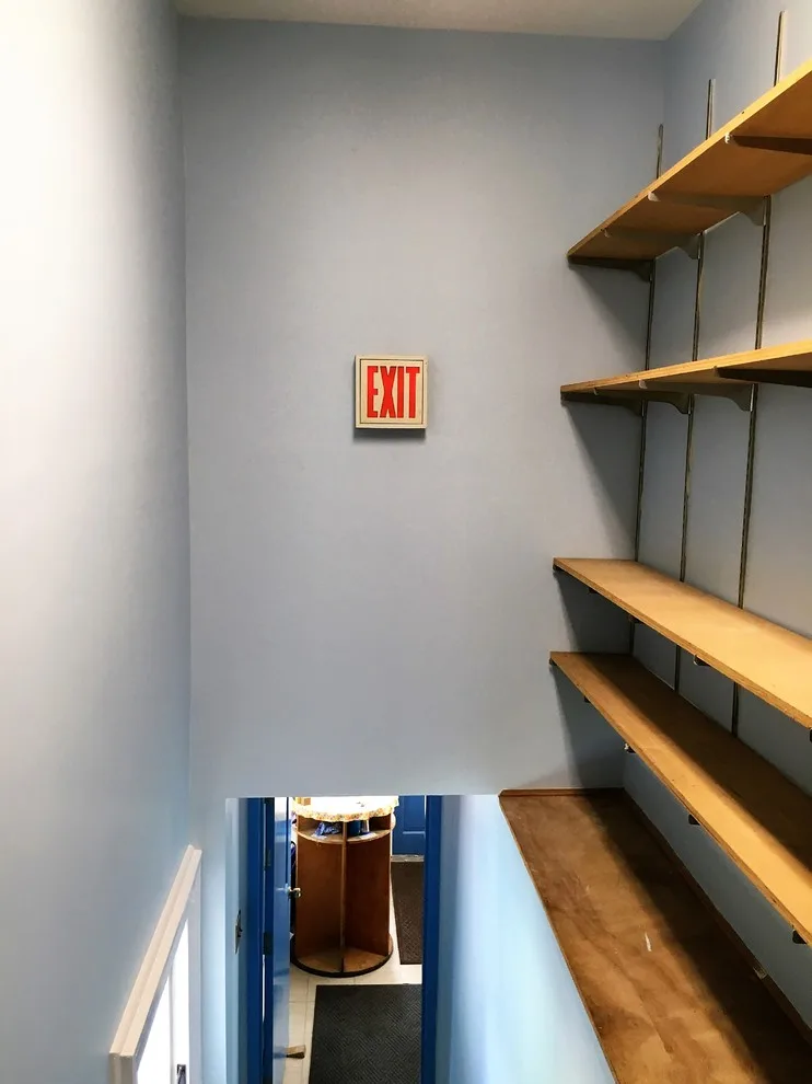 Hartsdale NY Daycare Mural by D.A. Modern Touch Painting & Carpentry LLC - Photo 47