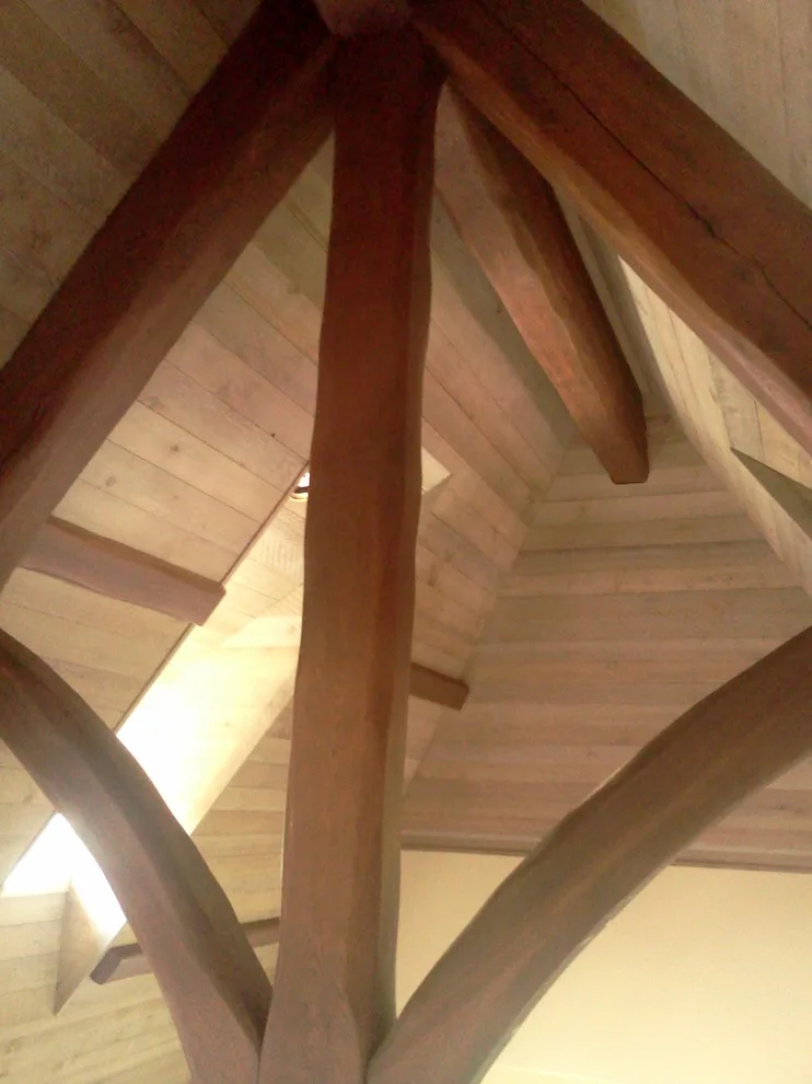 Interior Nine by T M Painting LLC - Photo 30