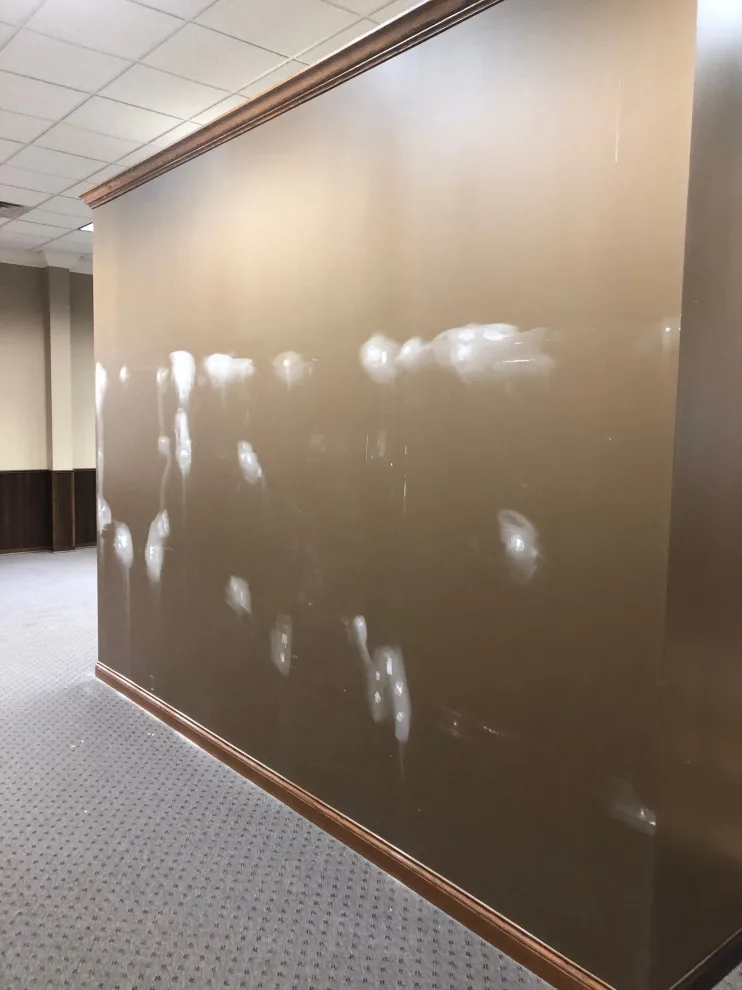 Office Interior Project Three by DPI Quality Custom Finishes - Photo 10