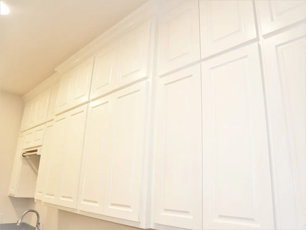 Wagner Path/Interior Painting by America's Painters Pro - Photo 30