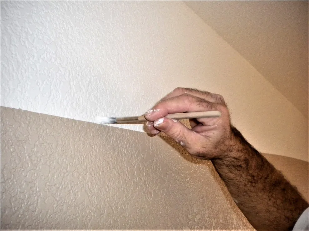 Interior Wall Painting by Point Of View Painting - Photo 10