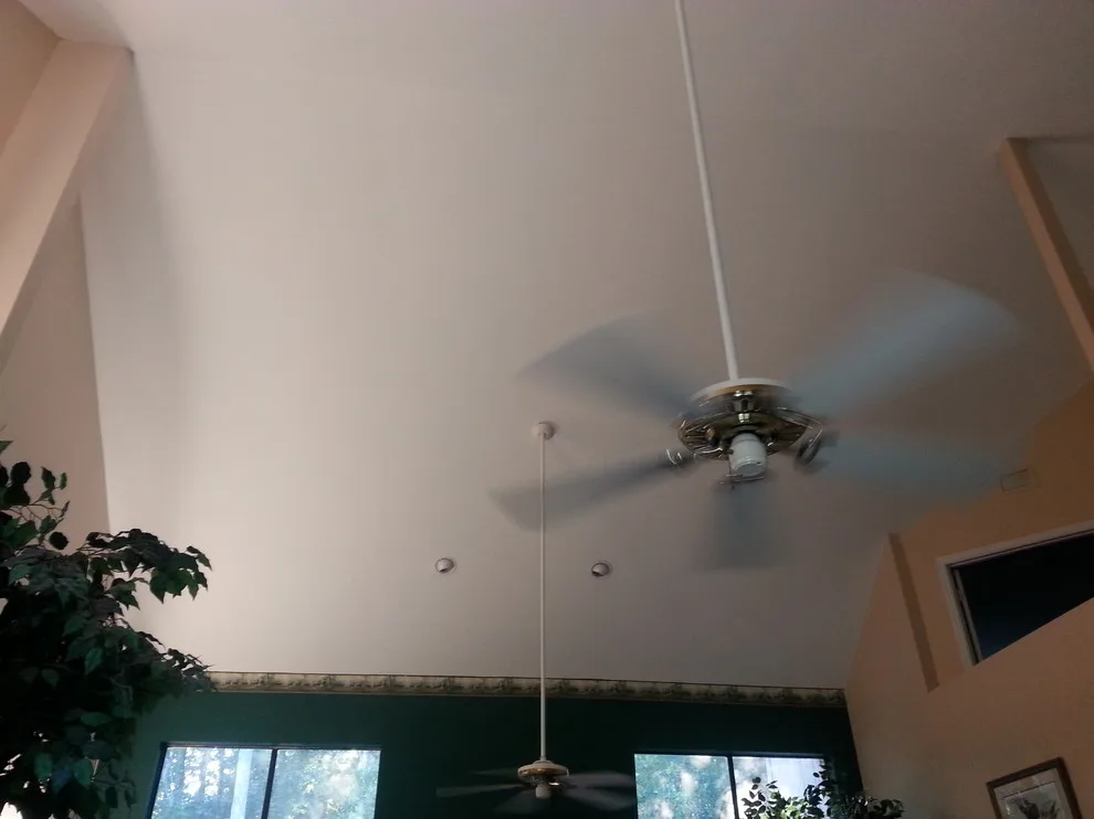 Mandarin Interior Decor Painting by AAA Advanced Residential Rehab, LLC - Photo 2