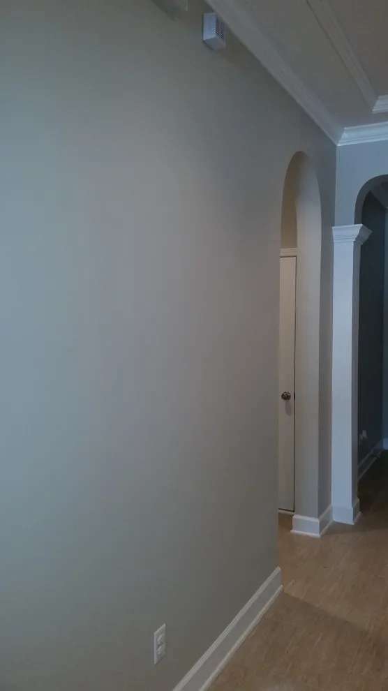 Nocatee Interior Decor Painting by AAA Advanced Residential Rehab, LLC - Photo 4