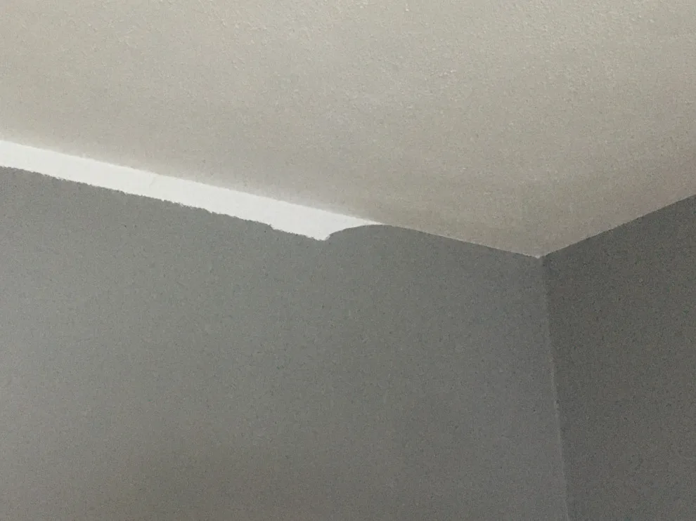 Gray Interior Painting Project by In A Rush To Brush - Photo 4