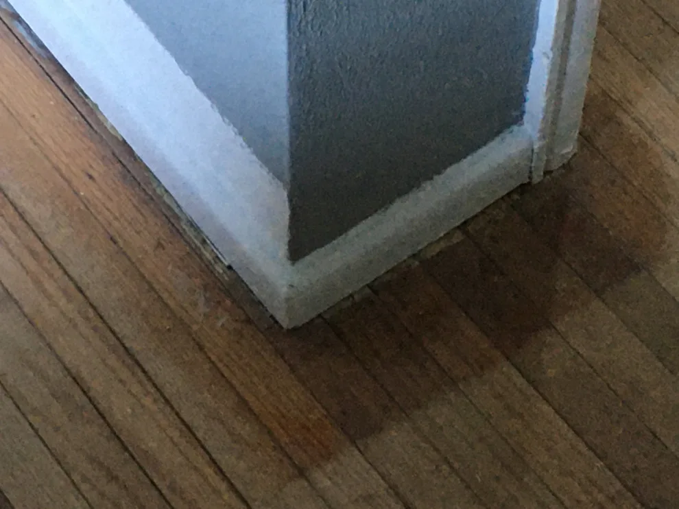 In A Rush To Brush - Photo 14