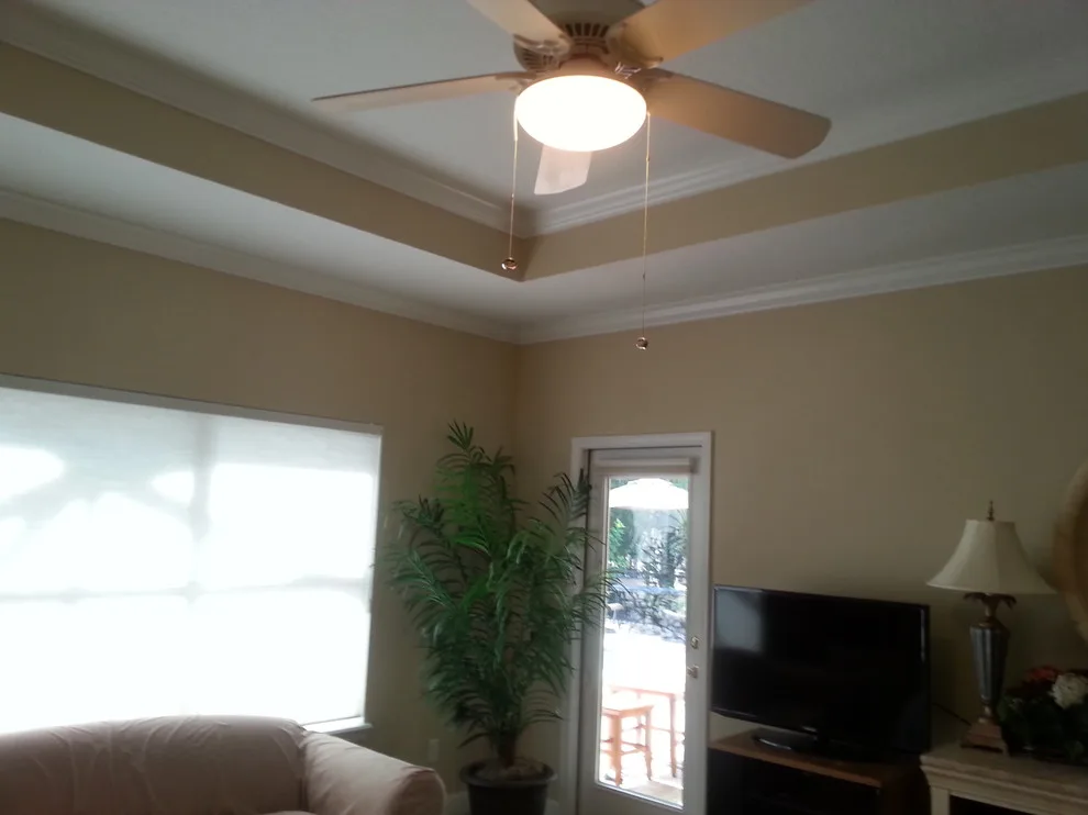 SR210 Interior Decor Painting by AAA Advanced Residential Rehab, LLC - Photo 2
