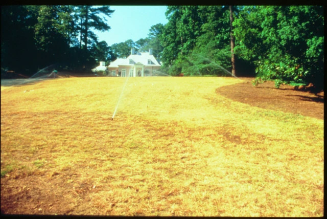Landscape Installation by Evercrest Landscape Group - Photo 36
