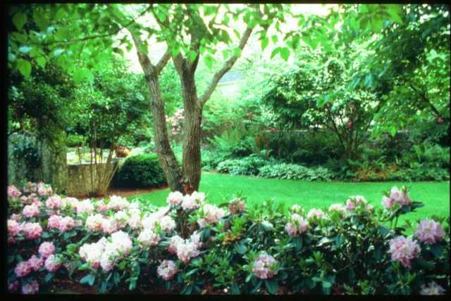 Landscape Installation by Evercrest Landscape Group - Photo 27