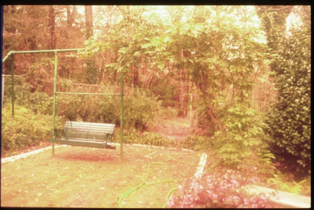 Landscape Installation by Evercrest Landscape Group - Photo 7