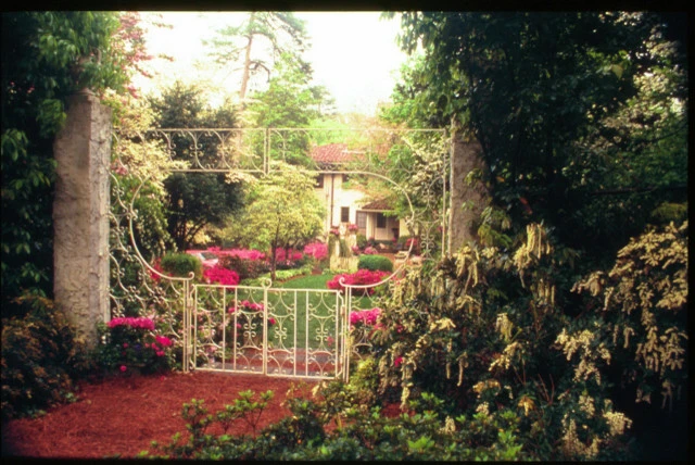 Landscape Installation by Evercrest Landscape Group - Photo 20