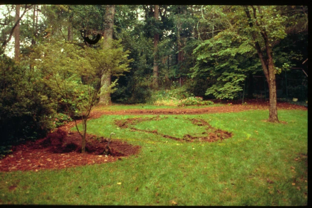 Landscape Installation by Evercrest Landscape Group - Photo 10