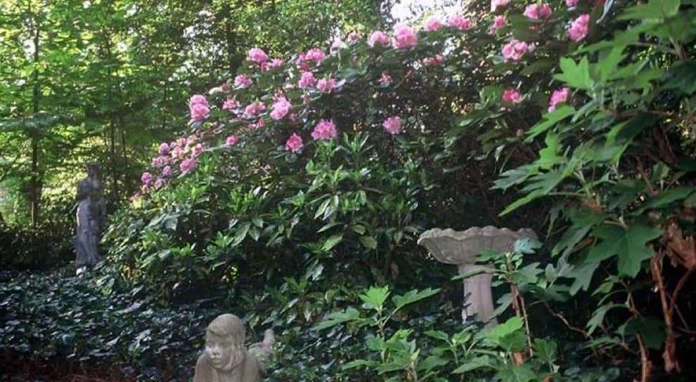 Landscape Installation by Evercrest Landscape Group - Photo 11